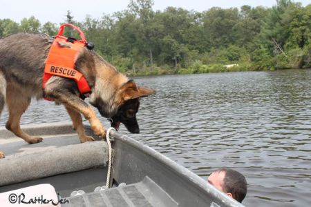 echo rescue dog bark matt boat