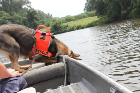 echo search dog sniff off boat